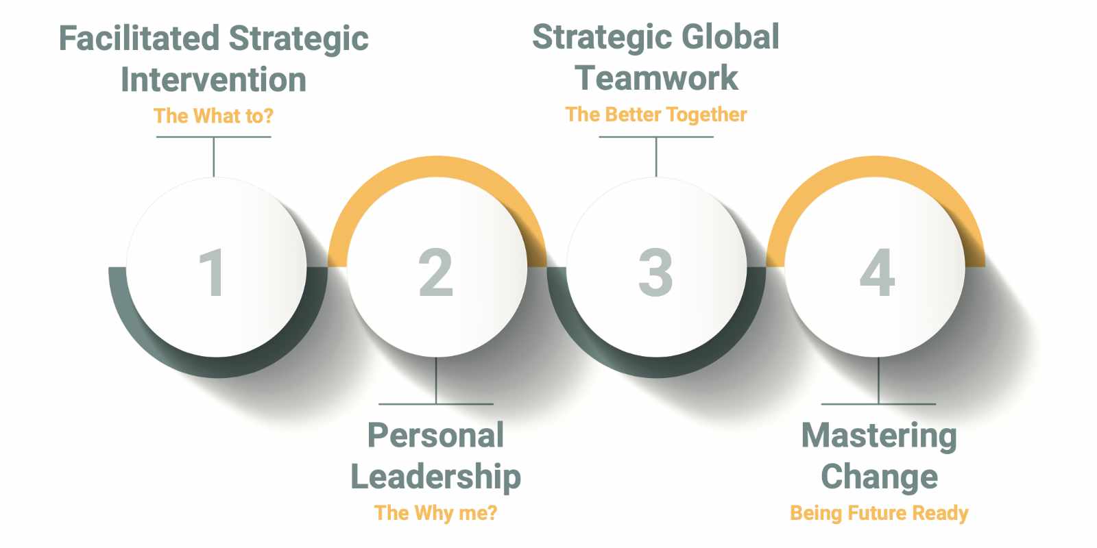 Four-step visual framework of the Senior Leadership Development Programme, including strategy, leadership, teamwork, and change management